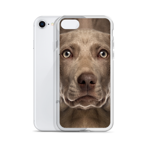 Weimaraner Dog iPhone Case by Design Express