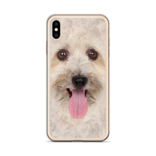 Bichon Havanese Dog iPhone Case by Design Express