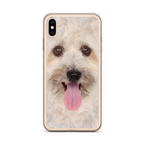 Bichon Havanese Dog iPhone Case by Design Express