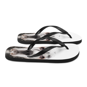 English Setter Dog Flip-Flops by Design Express