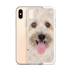 Bichon Havanese Dog iPhone Case by Design Express