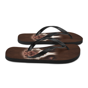 English Springer Spaniel Dog Flip-Flops by Design Express