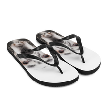 English Setter Dog Flip-Flops by Design Express