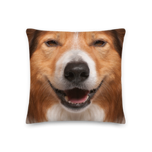 18×18 Border Collie Dog Premium Pillow by Design Express