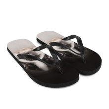 Boston Terrier Dog Flip-Flops by Design Express