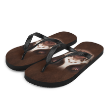 S English Springer Spaniel Dog Flip-Flops by Design Express