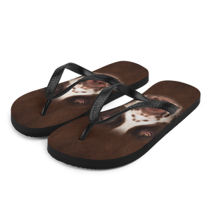 S English Springer Spaniel Dog Flip-Flops by Design Express