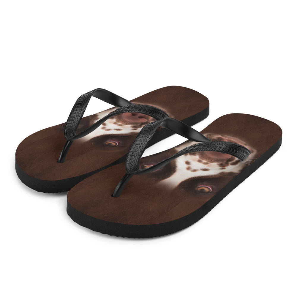 S English Springer Spaniel Dog Flip-Flops by Design Express