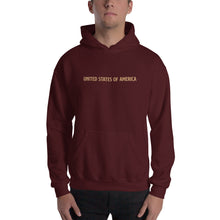 Maroon / S United States Of America Eagle Illustration Gold Reverse Backside Hooded Sweatshirt by Design Express