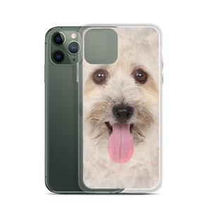 Bichon Havanese Dog iPhone Case by Design Express