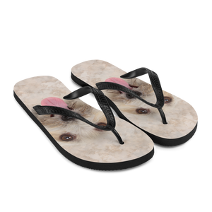 Bichon Havanese Dog Flip-Flops by Design Express