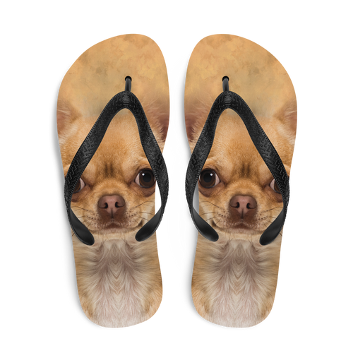 Chihuahua Dog Flip-Flops by Design Express