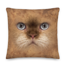 22×22 British Cat Premium Pillow by Design Express