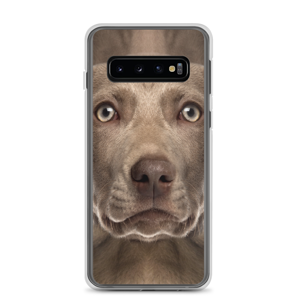 Samsung Galaxy S10 Weimaraner Dog Samsung Case by Design Express