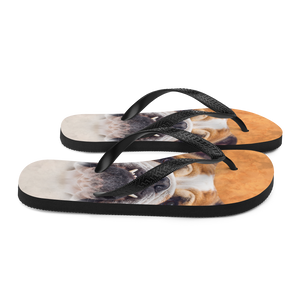 Bulldog Flip-Flops by Design Express