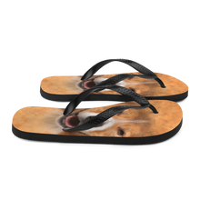 Border Collie Dog Flip-Flops by Design Express