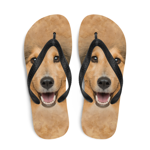 Shetland Sheepdog Flip-Flops by Design Express