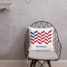 America "Barley" Square Premium Pillow by Design Express