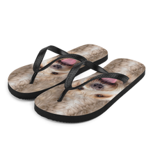 S Labradoodle Dog Flip-Flops by Design Express