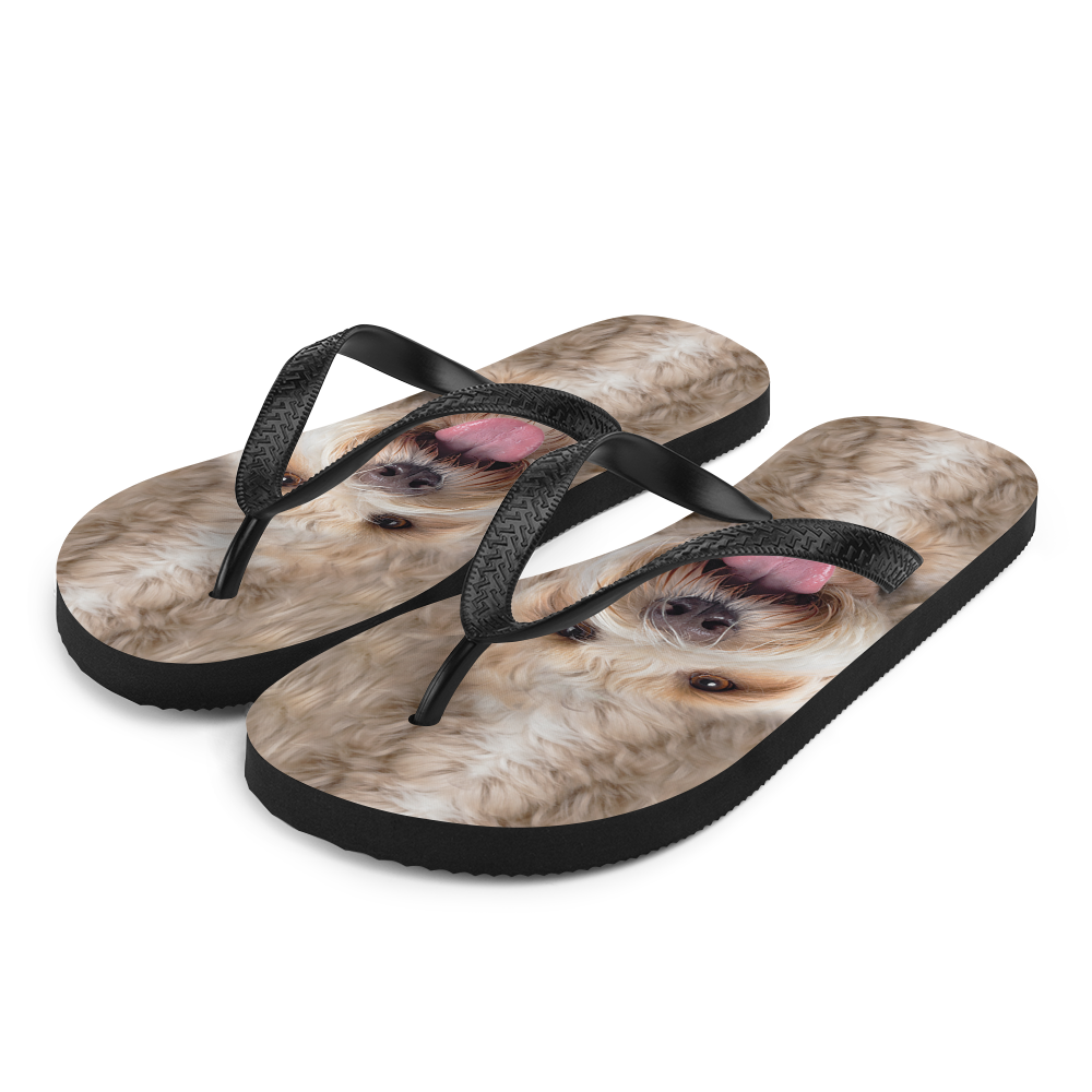 S Labradoodle Dog Flip-Flops by Design Express