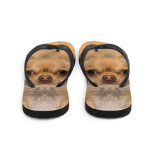 Chihuahua Dog Flip-Flops by Design Express