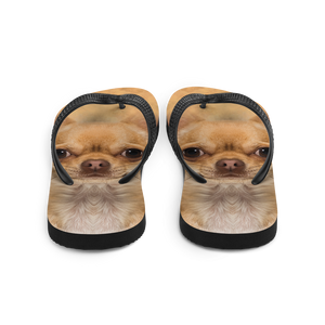 Chihuahua Dog Flip-Flops by Design Express