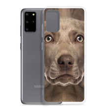 Weimaraner Dog Samsung Case by Design Express