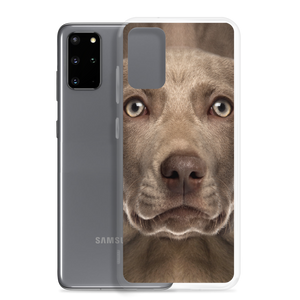 Weimaraner Dog Samsung Case by Design Express