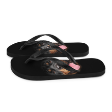 Rottweiler Dog Flip-Flops by Design Express