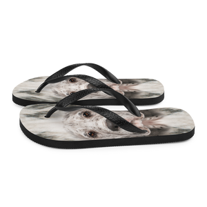 Great Dane Dog Flip-Flops by Design Express