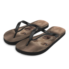 S Weimaraner Dog Flip-Flops by Design Express