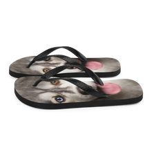 Husky Flip-Flops by Design Express