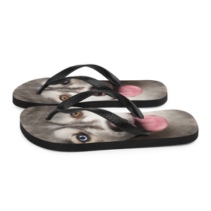 Husky Flip-Flops by Design Express