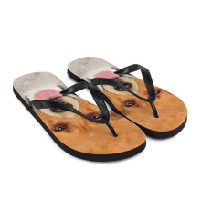 Beagle Dog Flip-Flops by Design Express