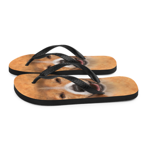 Border Collie Dog Flip-Flops by Design Express