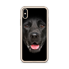 Labrador Dog iPhone Case by Design Express