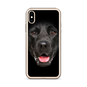 Labrador Dog iPhone Case by Design Express