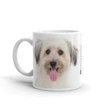 Bichon Havanese Mug by Design Express