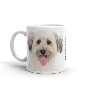 Bichon Havanese Mug by Design Express