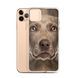 Weimaraner Dog iPhone Case by Design Express