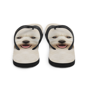 West Highland White Terrier Dog Flip-Flops by Design Express