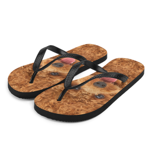 S Poodle Dog Flip-Flops by Design Express