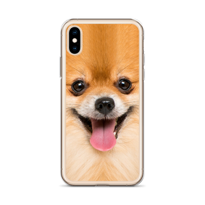 Pomeranian Dog iPhone Case by Design Express