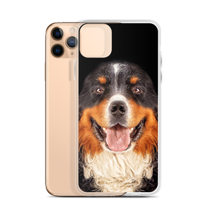 Bernese Mountain Dog iPhone Case by Design Express