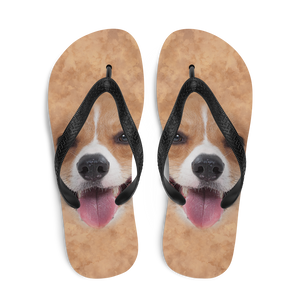 Corgi Dog Flip-Flops by Design Express