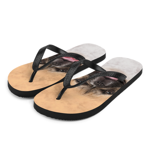 S French Bulldog Flip-Flops by Design Express