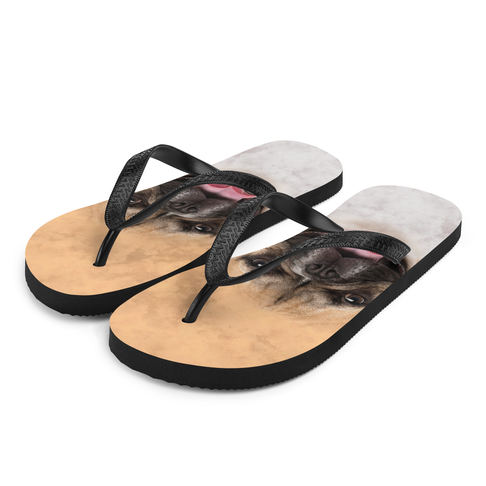 S French Bulldog Flip-Flops by Design Express