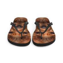 Cocker Spaniel Dog Flip-Flops by Design Express