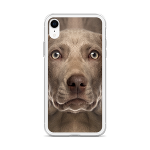 Weimaraner Dog iPhone Case by Design Express