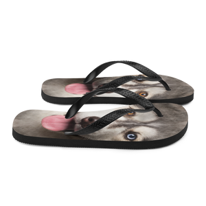 Husky Flip-Flops by Design Express